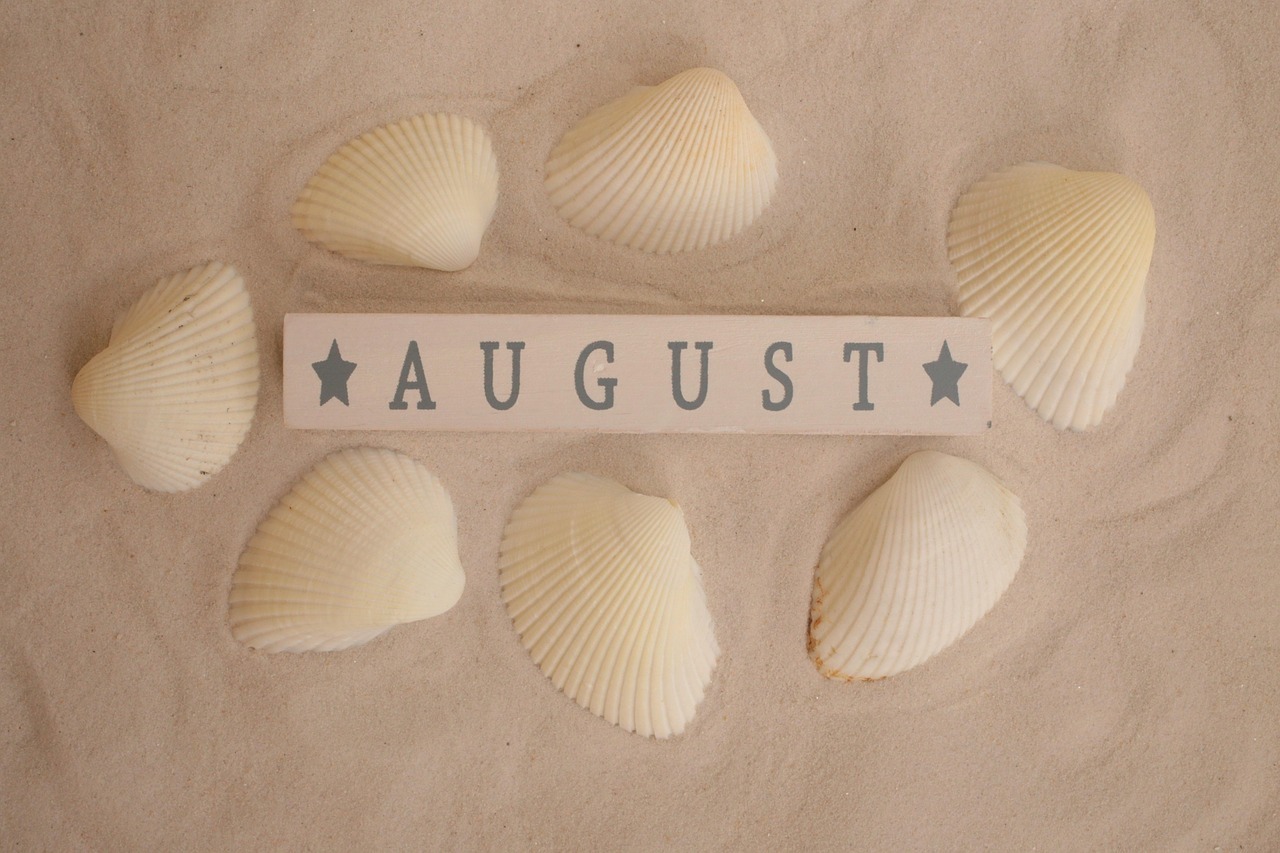 august, summer, summer time, sink, beach, sand, vacation, season, coast, sea, nature, august, august, august, august, august